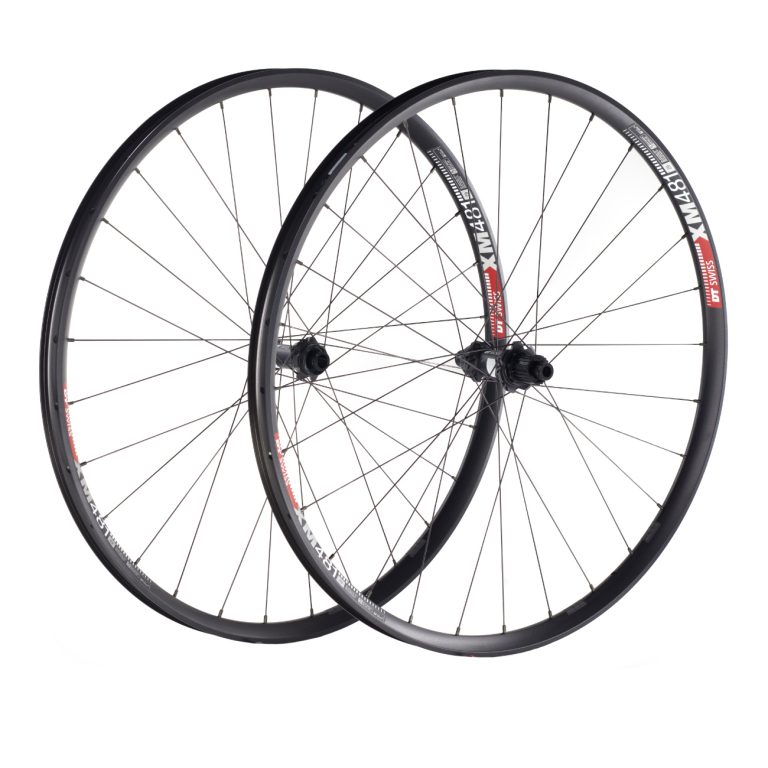 DT Swiss XM 481 Straightpull DT 350